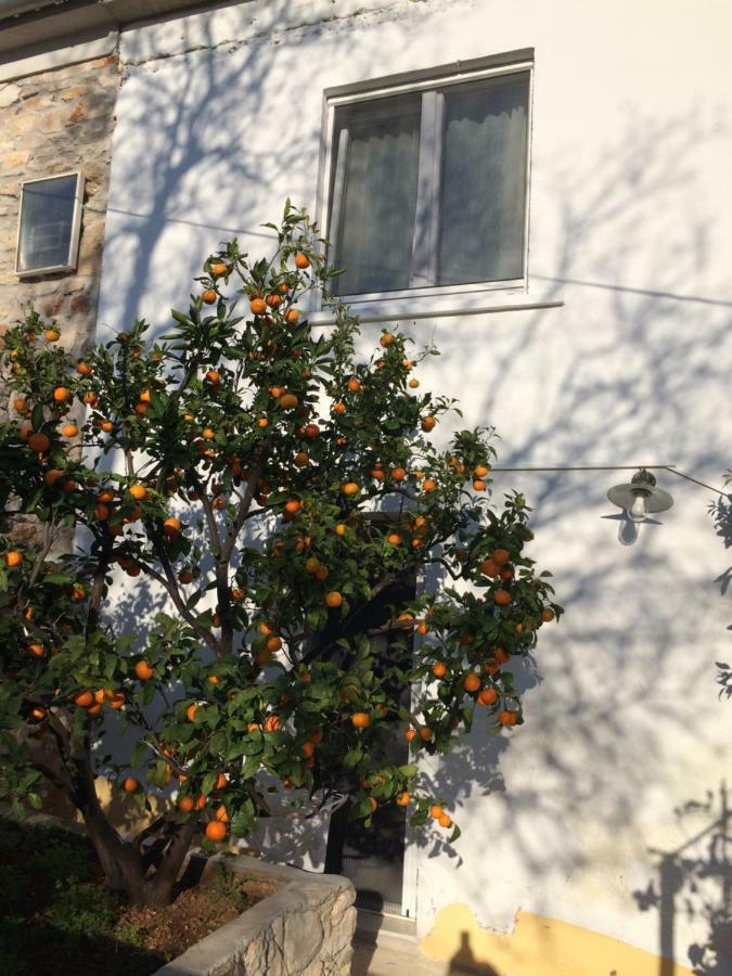 Apartmani Harmonija Zman Bagian luar foto